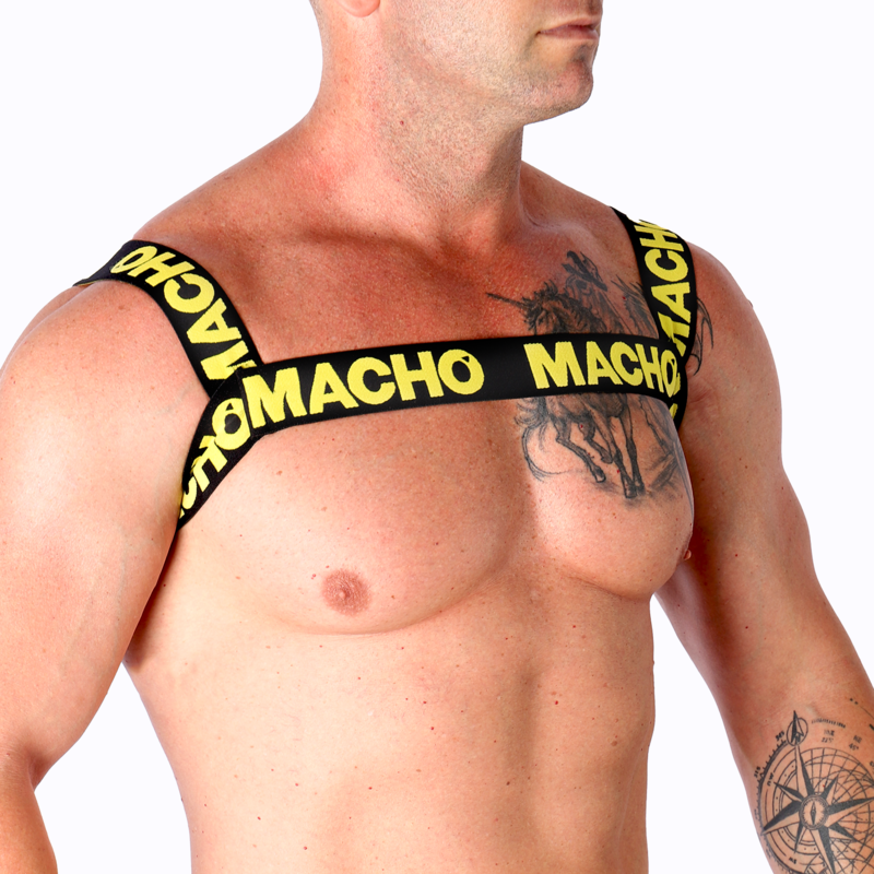 MACHO - DOUBLE YELLOW HARNESS - Image 2