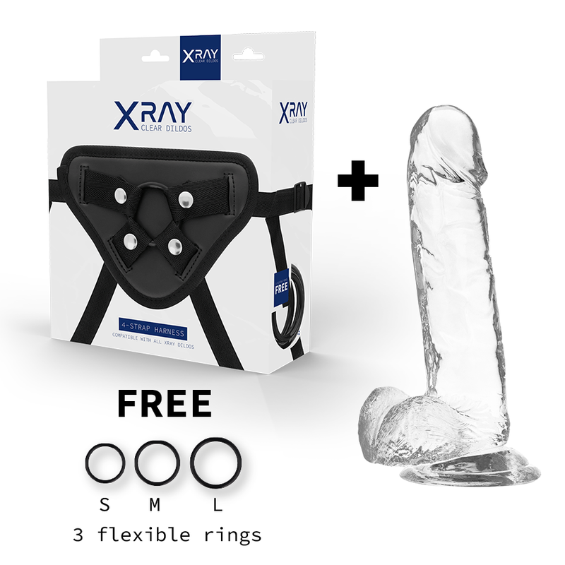 X RAY - HARNESS + CLEAR COCK WITH BALLS 20 CM -O- 4.5 CM - Image 2